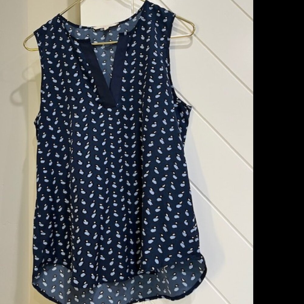 LIKE NEW - 41 HAWTHORN SLEEVELESS BLOUSE